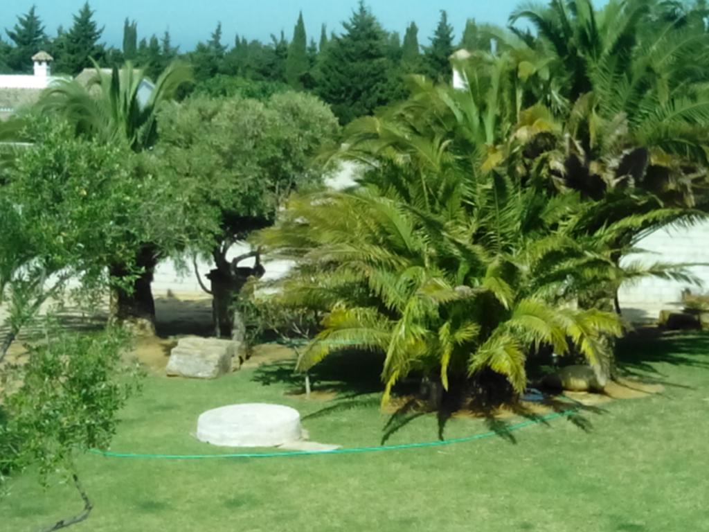 El Olivar De Roche Viejo Conil De La Frontera Esterno foto